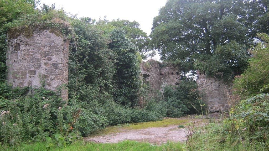 Stone ruins of Coole Abbey surrounded by trees and vegetation.