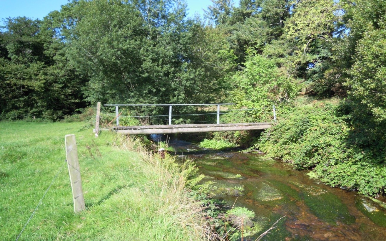 Small footbridge over a river surrounded by trees and grass.
