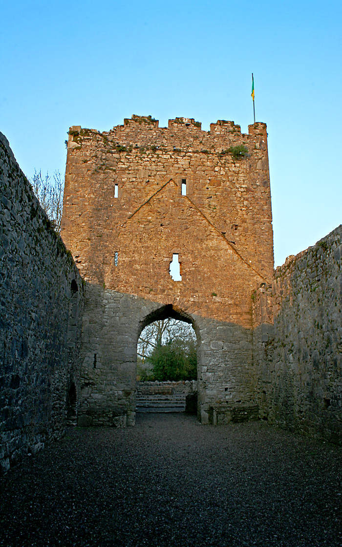 Stone tower and arched gateway within the ruins of Castlelyons Abbey